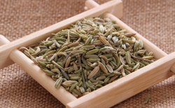 如何選擇茶葉包裝機(jī)廠家？選擇標(biāo)準(zhǔn)解析茶葉包裝機(jī)廠家。